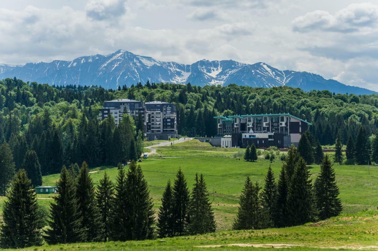 Twin Studio Silver Mountain Poiana Brasov Extérieur photo